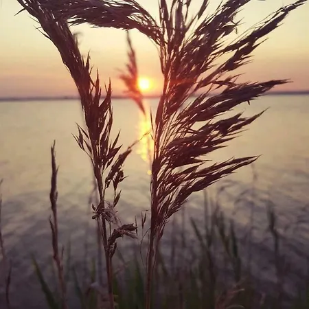 Lejlighed An Den Tannen