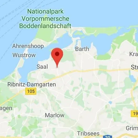 An Den Tannen *